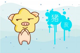 为什么说2019年的猪是百年难遇