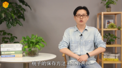 桃子怎么保存