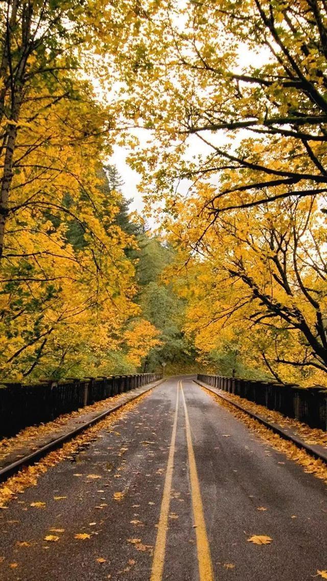 微信聊天背景图片高清