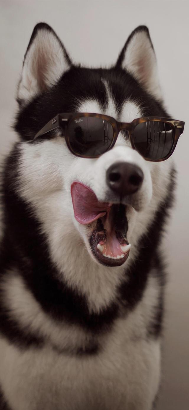 微信聊天背景图片高清