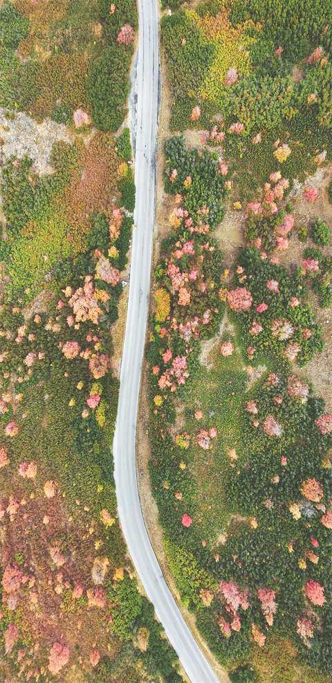 1080p蓝光竖屏壁纸图片