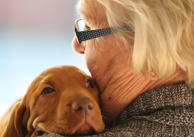 长期瘫痪老人临死前三天的征兆