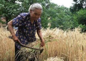 老人病重后如何知道大限已到