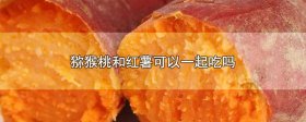 猕猴桃和红薯可以一起吃吗